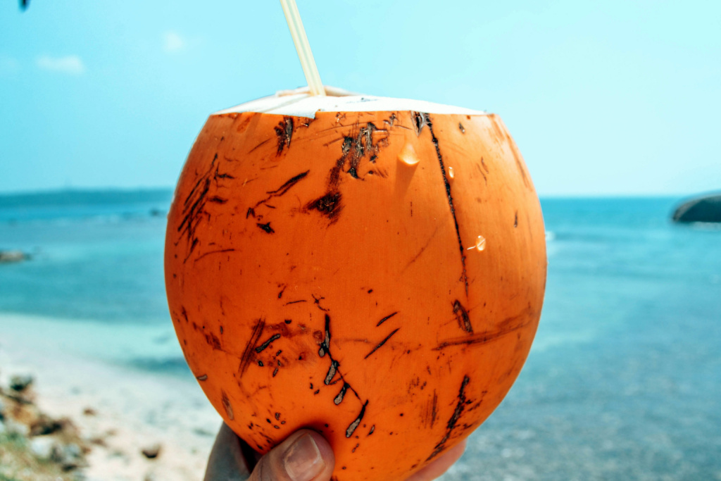 orange-shell coconut