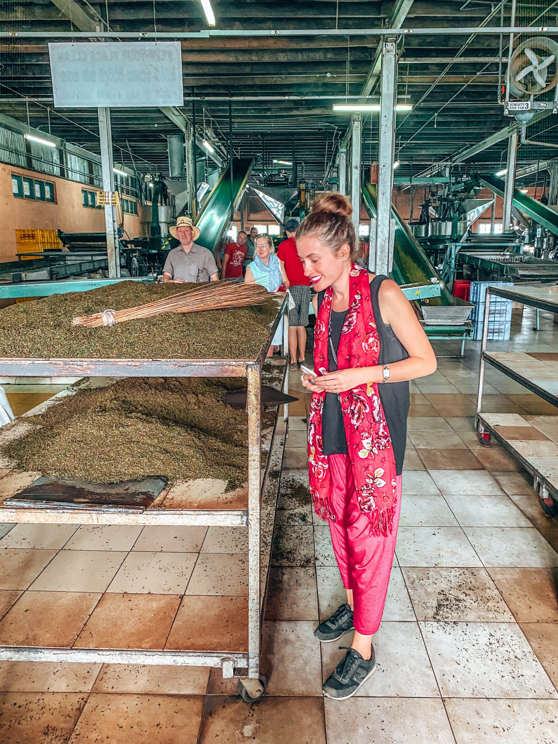 woman looking at the tea making process in the factory