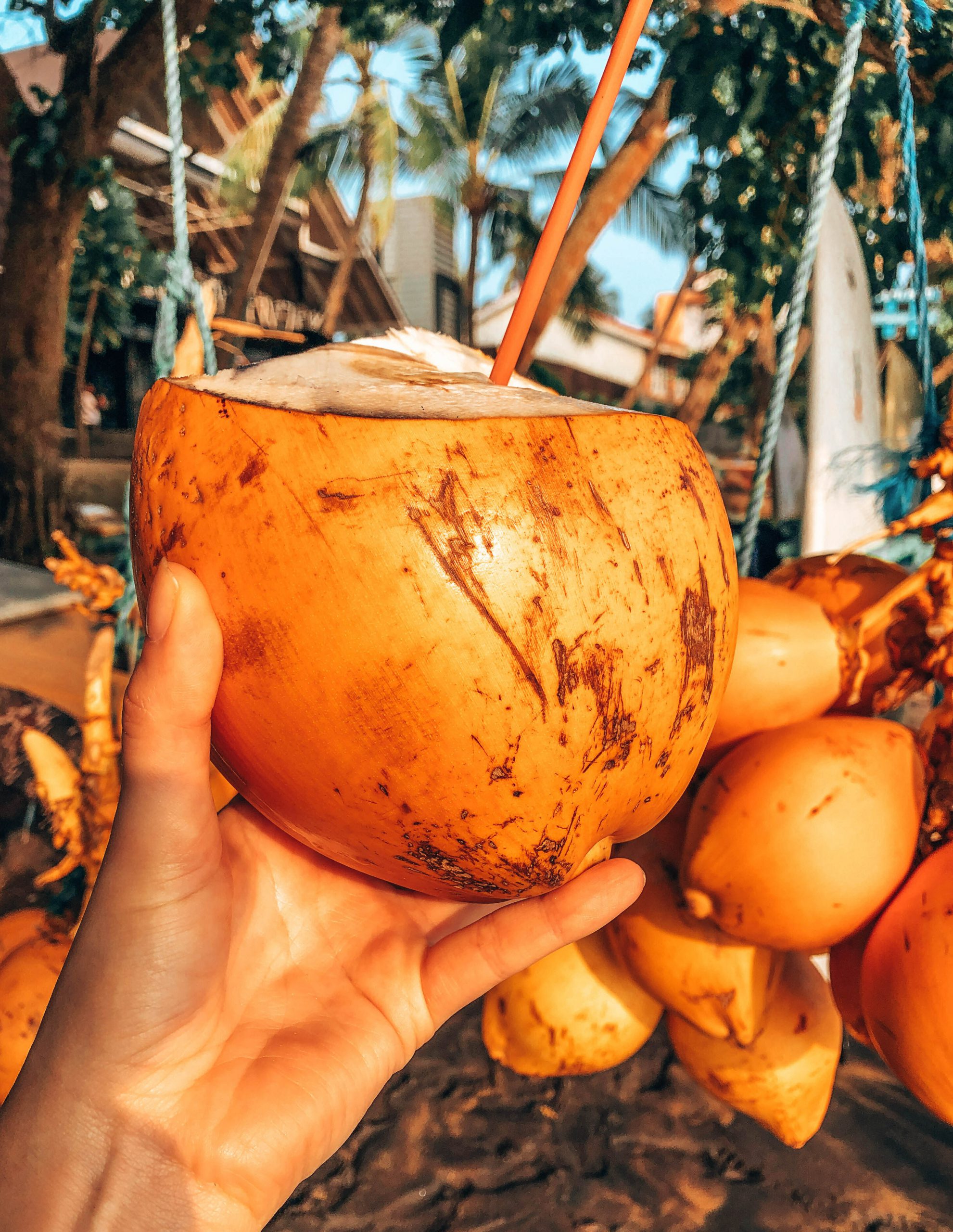 orange coconuts with straw