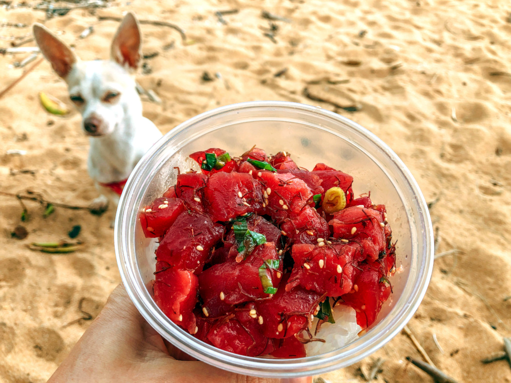 ahi tuna poke, pono market, best poke kauai