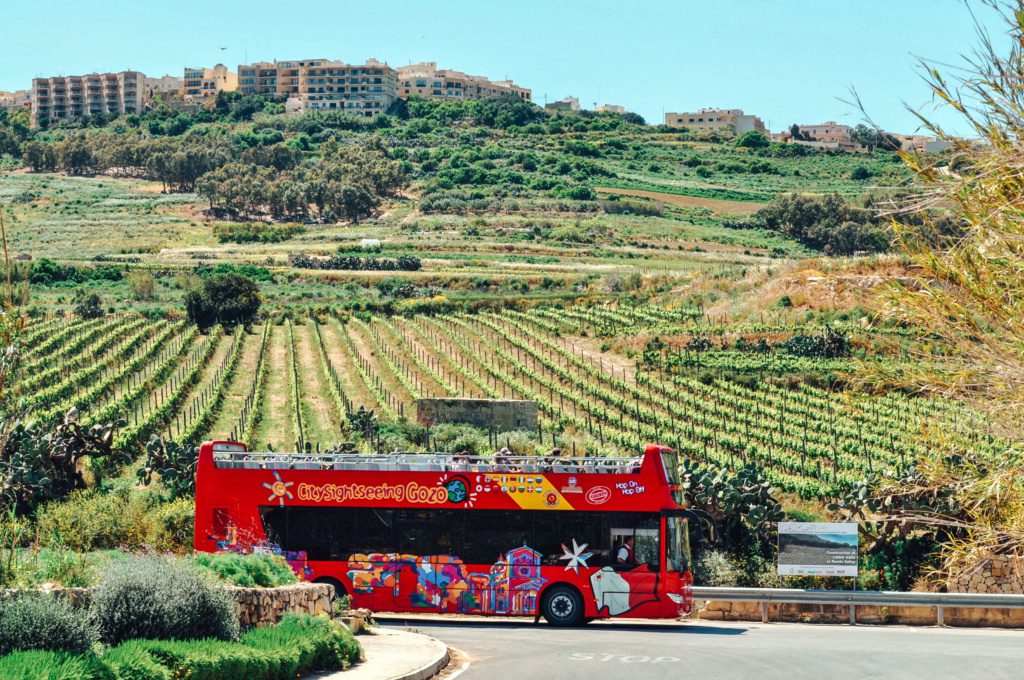 gozo bus tour, malta food