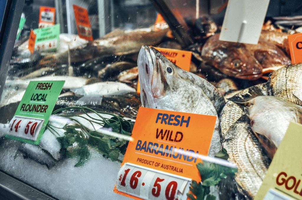 australian barramundi fish, fish market, victoria market melbourne