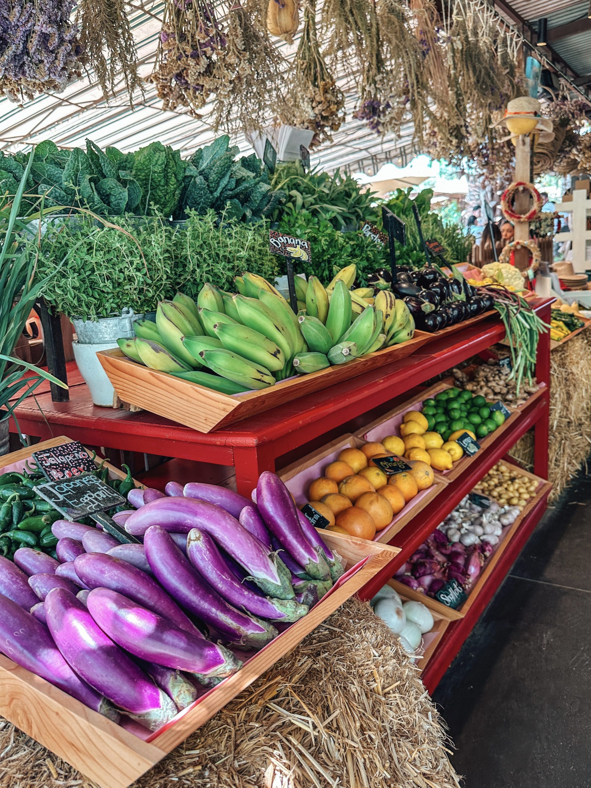 Flora Farms in Cabo, Mexico Organic Paradise