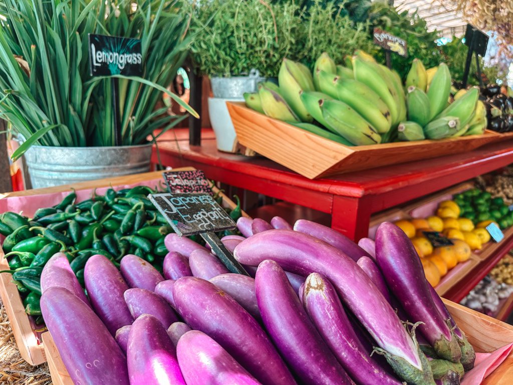 farm to table flora farms cabo