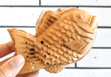 taiyaki japanese fish pastry