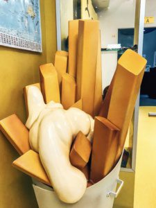 French Fries Origin: Are French Fries Really French?