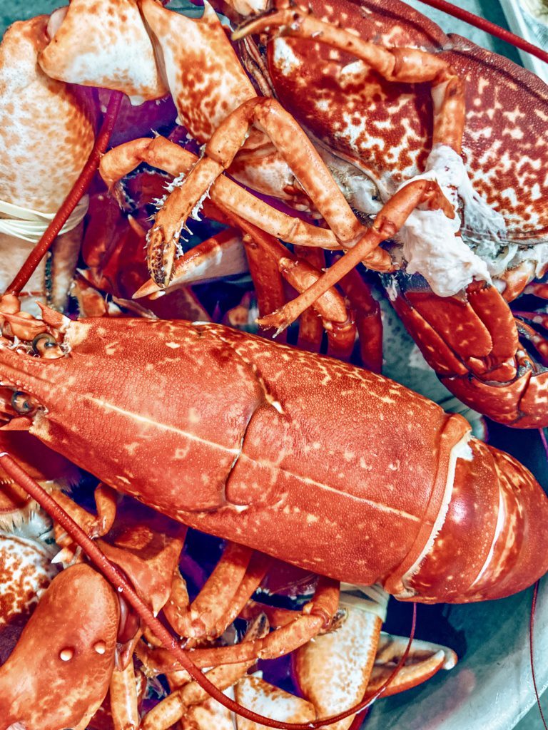 rob walsh food travel irish seafood