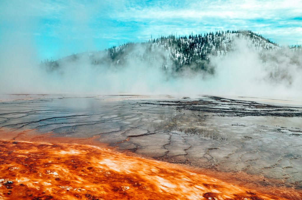 where to eat yellowstone trout