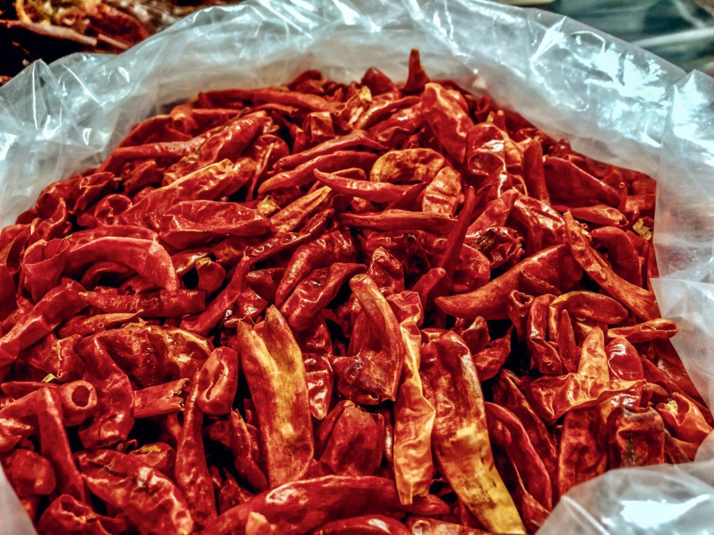 what to eat at Mercado Coyoacán in Mexico City