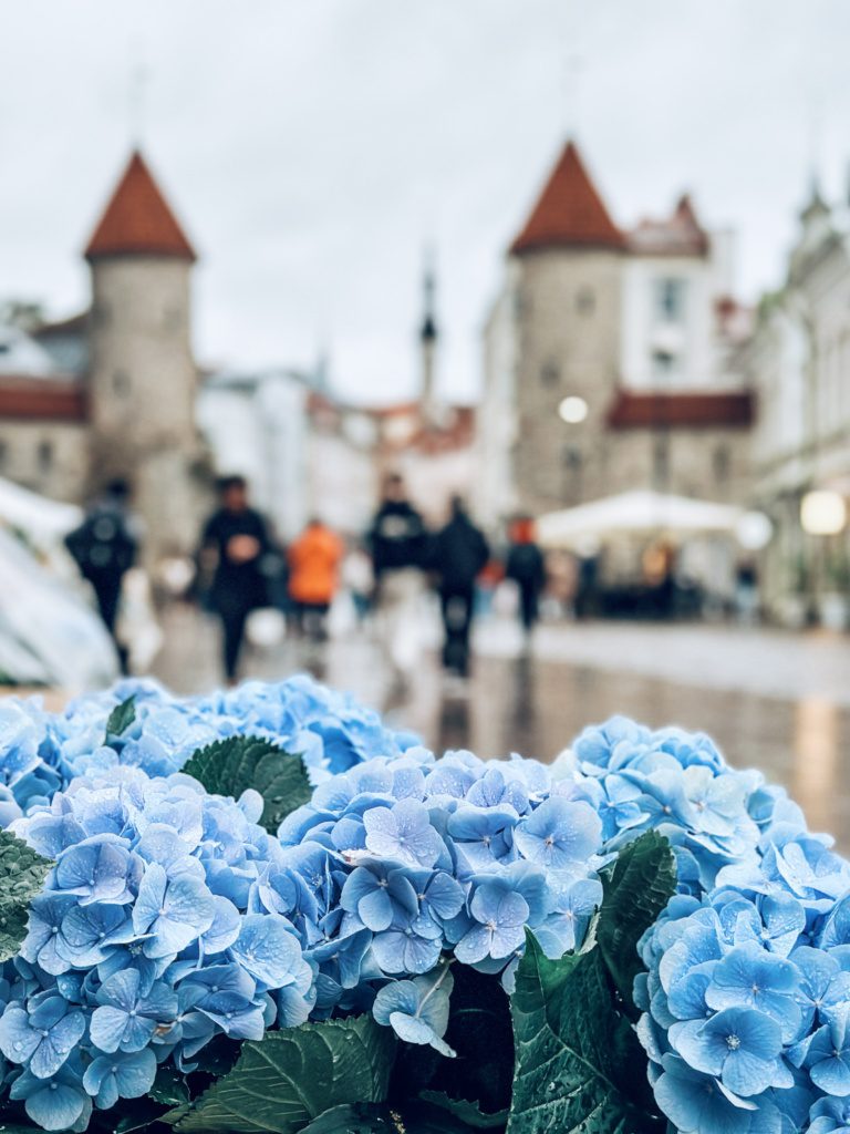 tallinn estonia old town