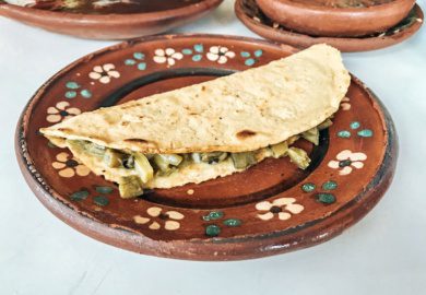 quesadilla with nopales tulum