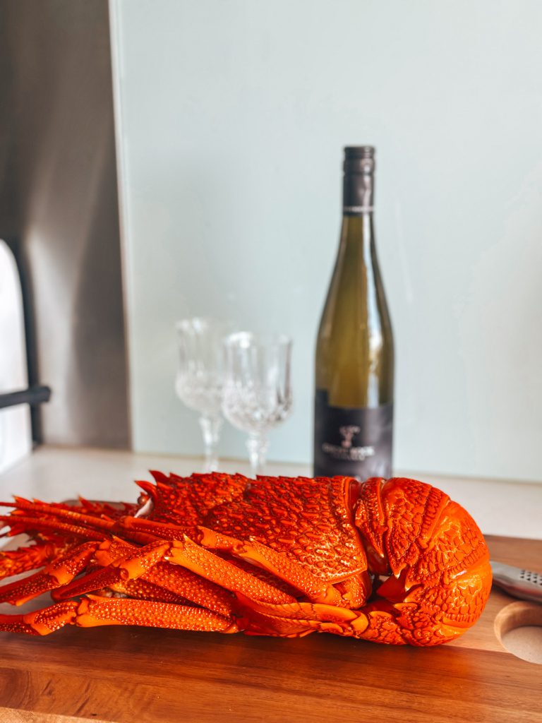 tasmanian rock lobster