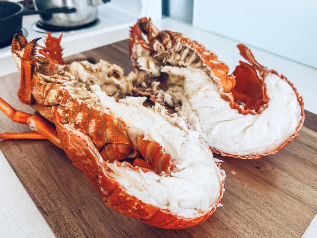 tasmanian crayfish