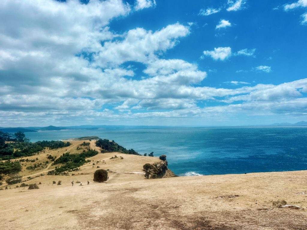 maria island tasmania