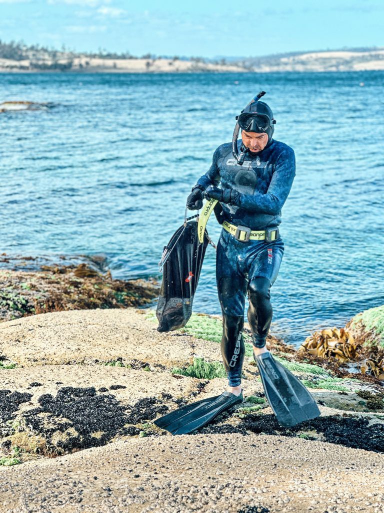abalone diver
