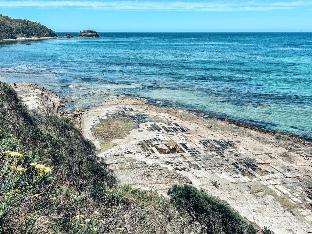 tasmania coastline