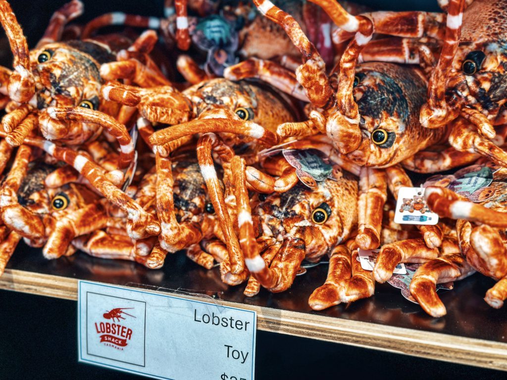 lobster shack bicheno tasmania