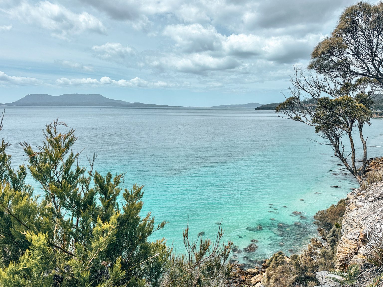 Tasmanian Food Odyssey: 30 Unique Flavors to Try in Tassie