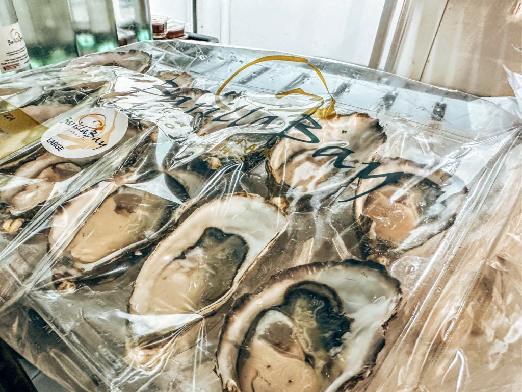 barilla bay oysters