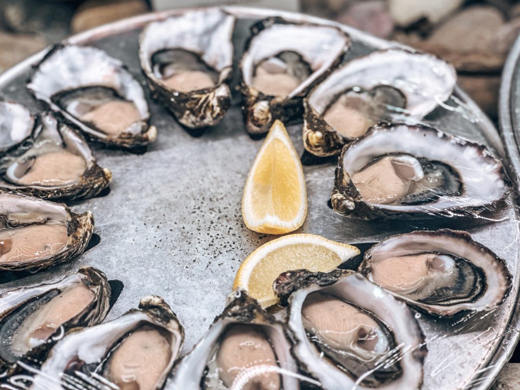tasmanian oysters barilla bay