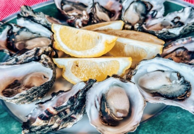 tasmanian oysters