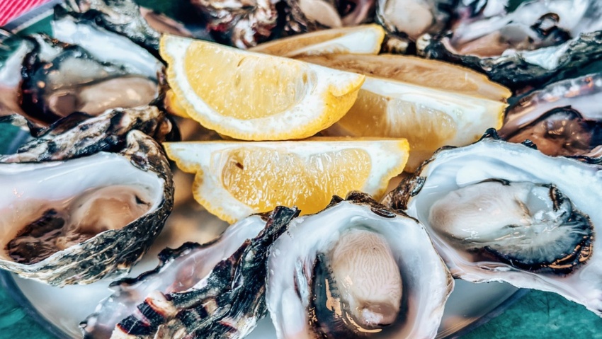 tasmanian oysters