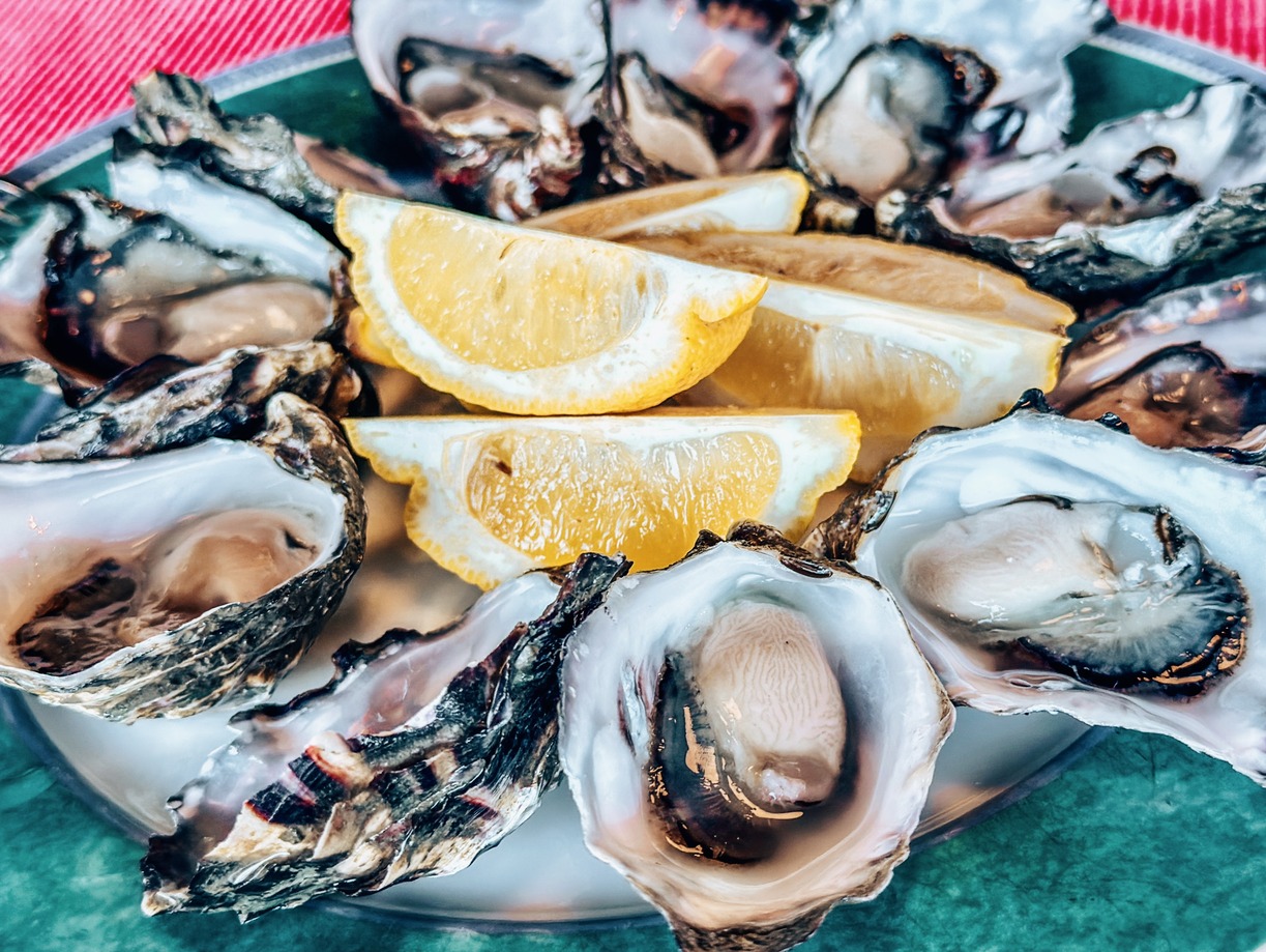 tasmanian oysters
