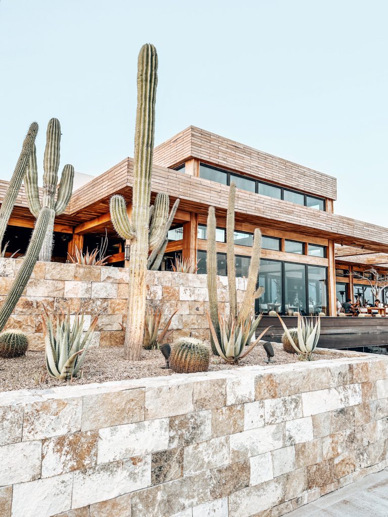 nobu hotel Los Cabos