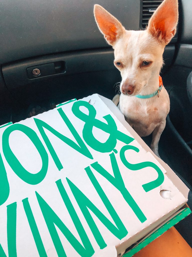 jon and vinnys pizza take out