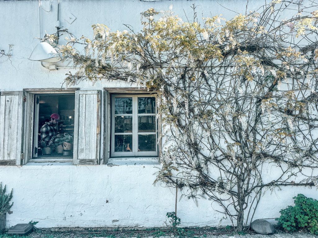 gjusta bakery