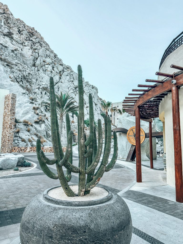 waldorf astoria los cabos pedregal