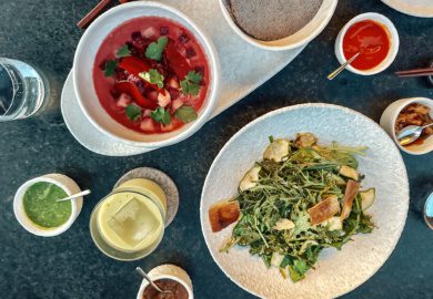 manta at the cape hotel cabo