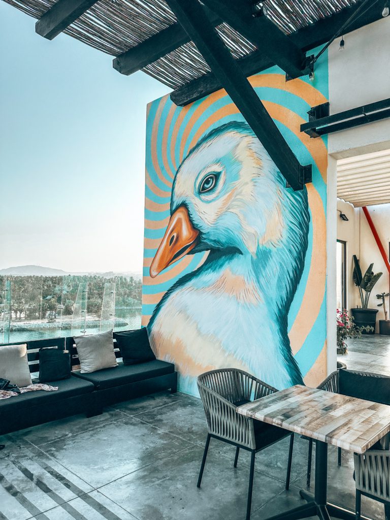 hotel el ganzo cabo