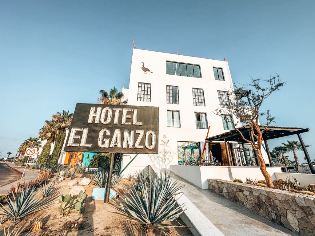 hotel el ganzo cabo