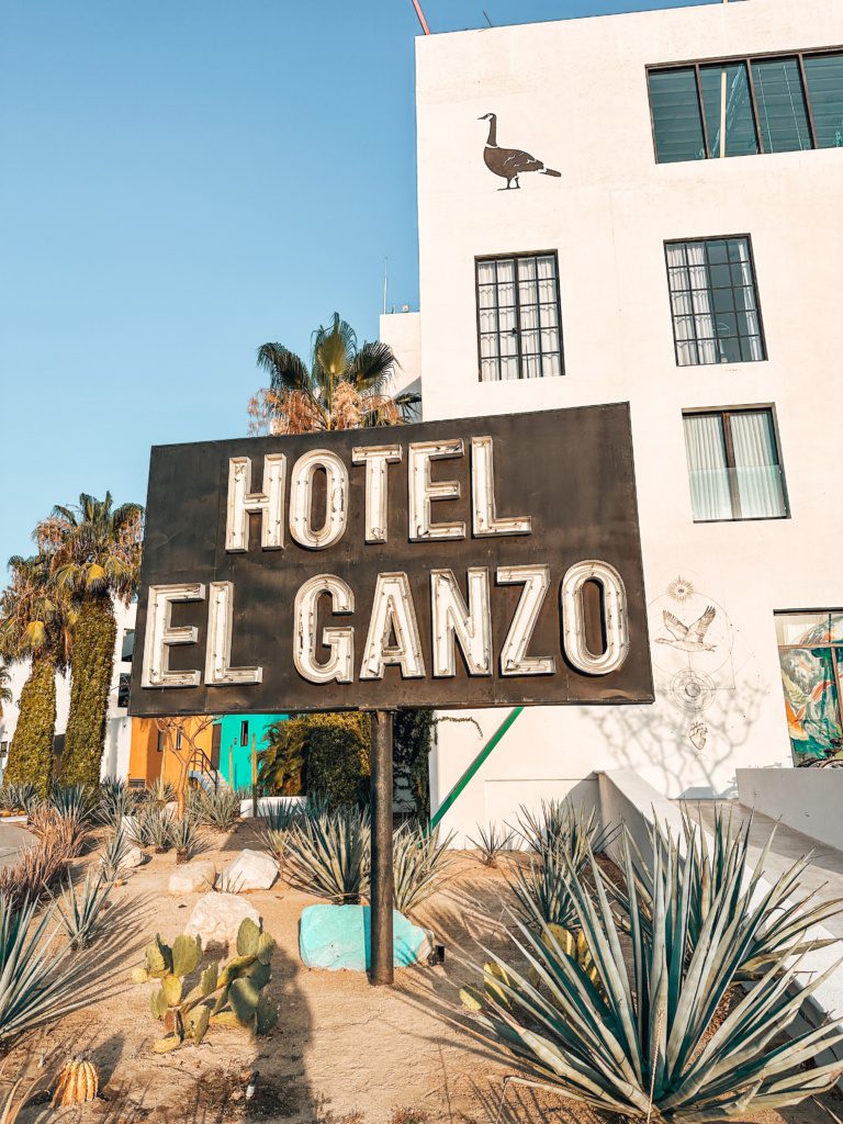 hotel el ganzo cabo