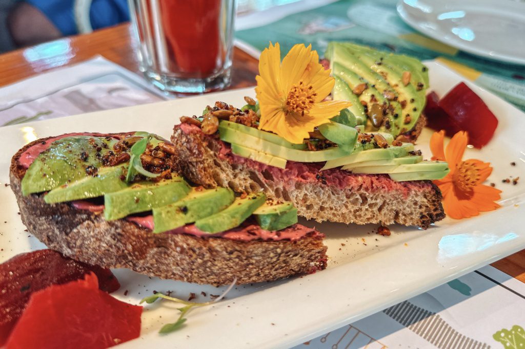flora farms cabo brunch