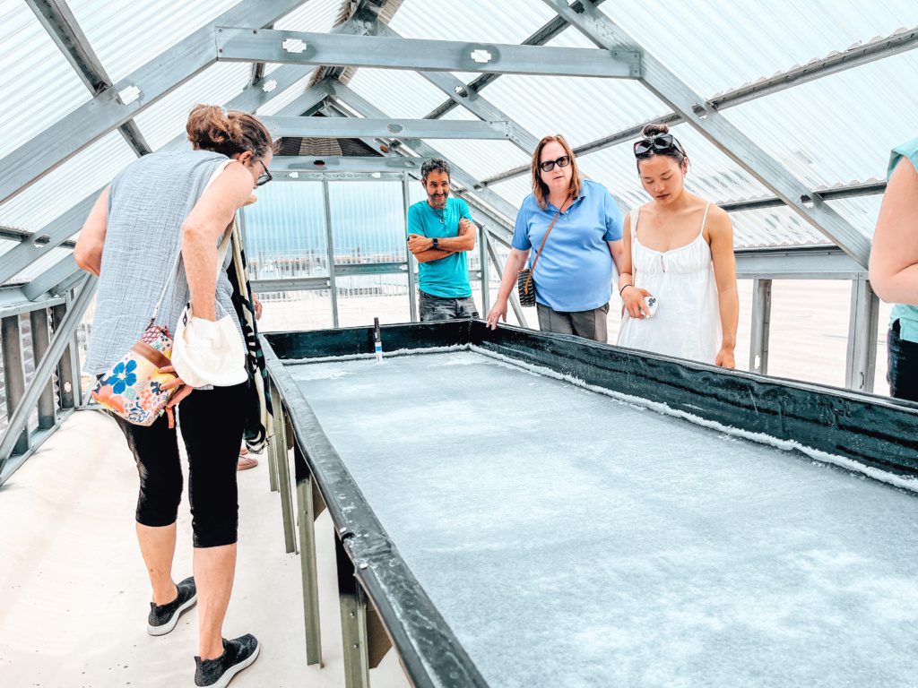 Kona Sea Salt Farm Tour