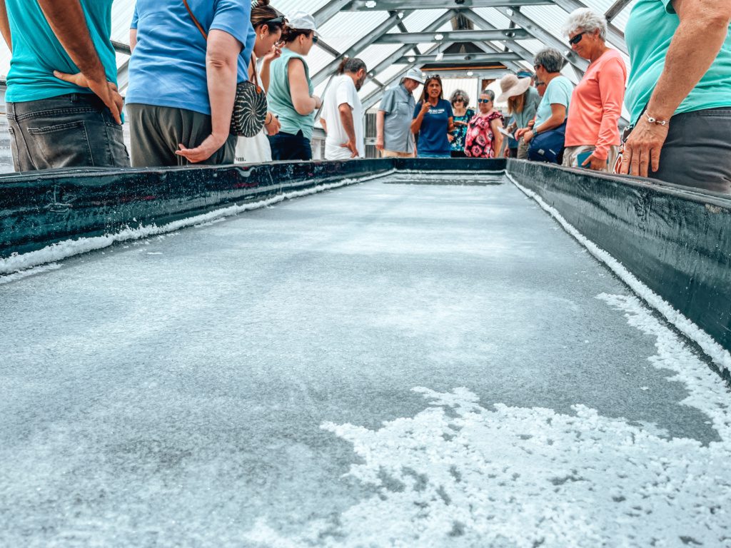 Kona Sea Salt Farm Tour