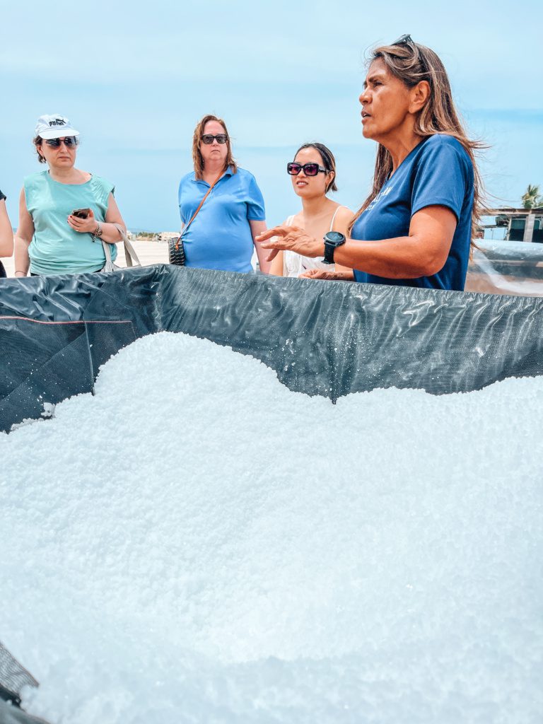 Kona Sea Salt Farm Tour big island