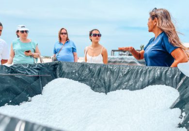 kona sea salt farm tour