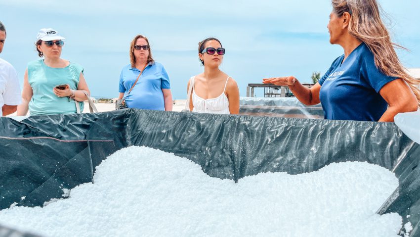 kona sea salt farm tour