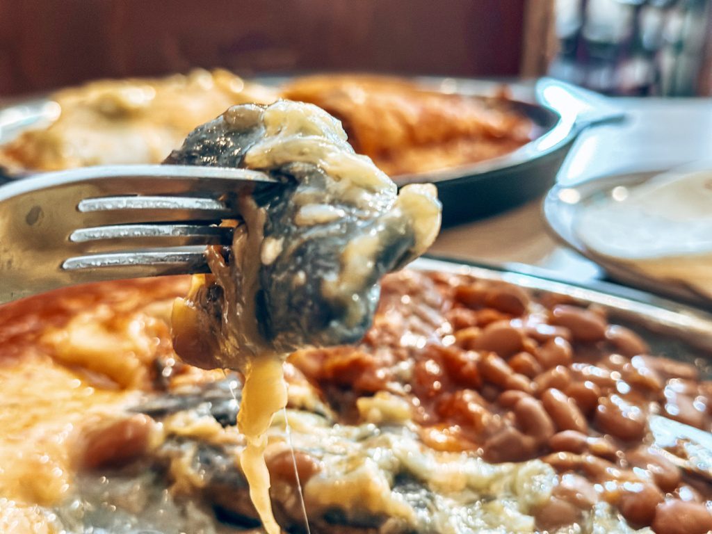 new mexican cuisine blue corn enchiladas