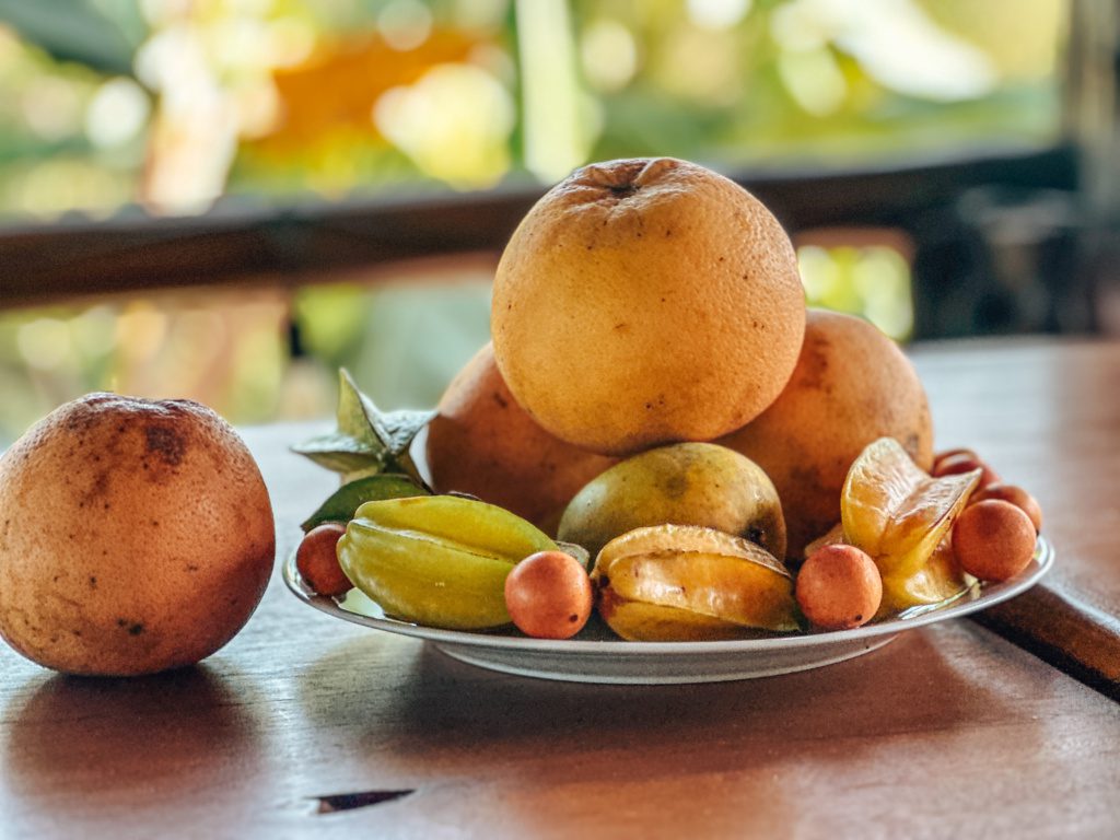 costa rican cuisine
