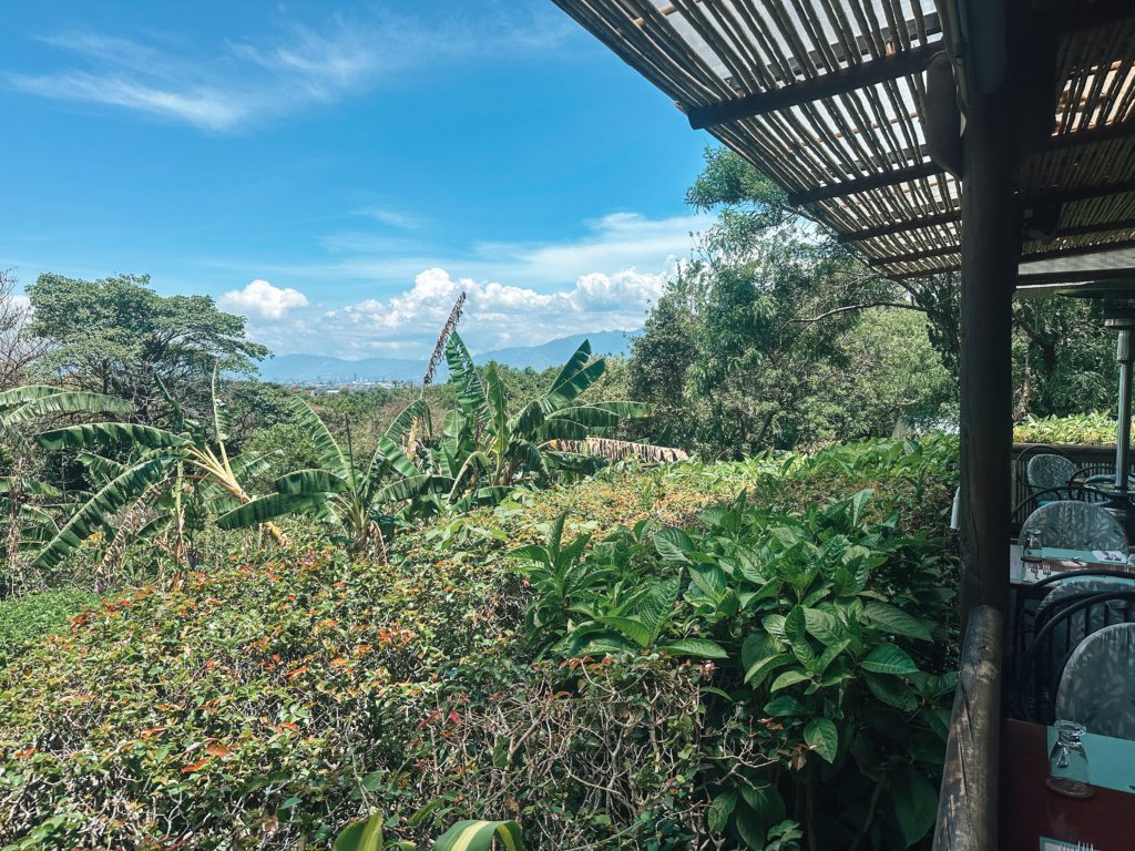 finca rosa blanca costa rica