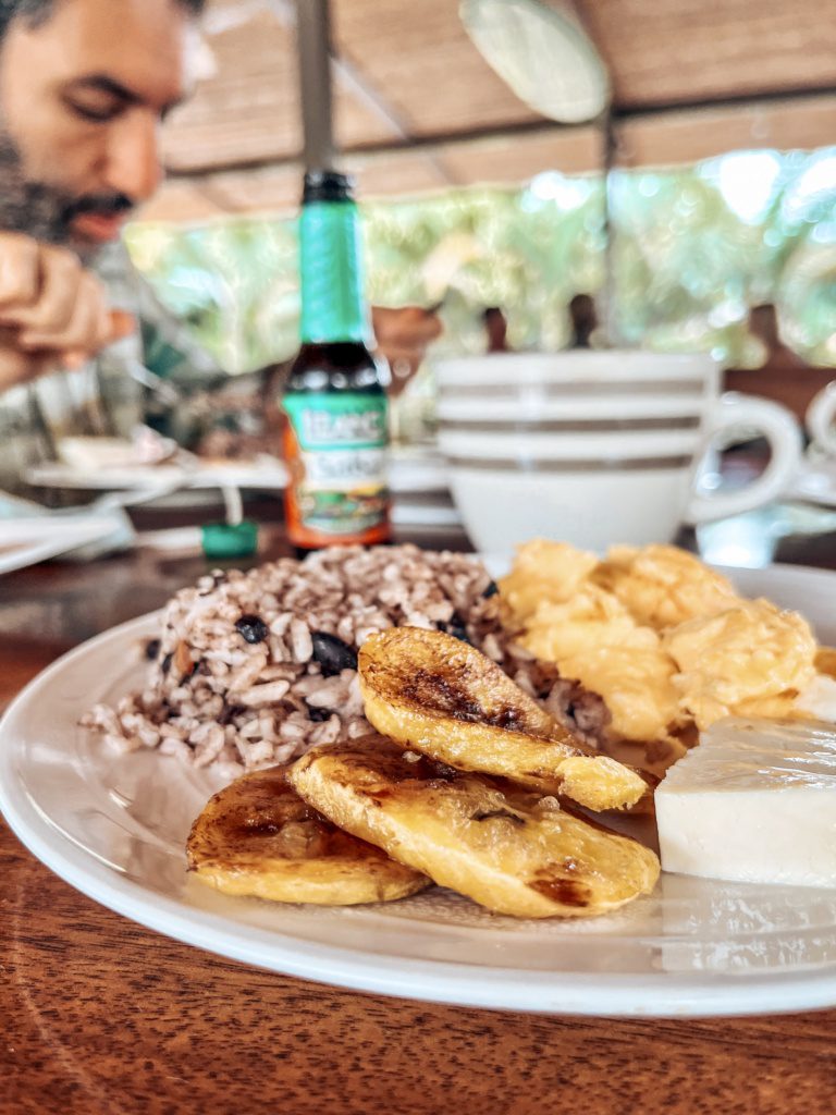 gallo pinto costa rica