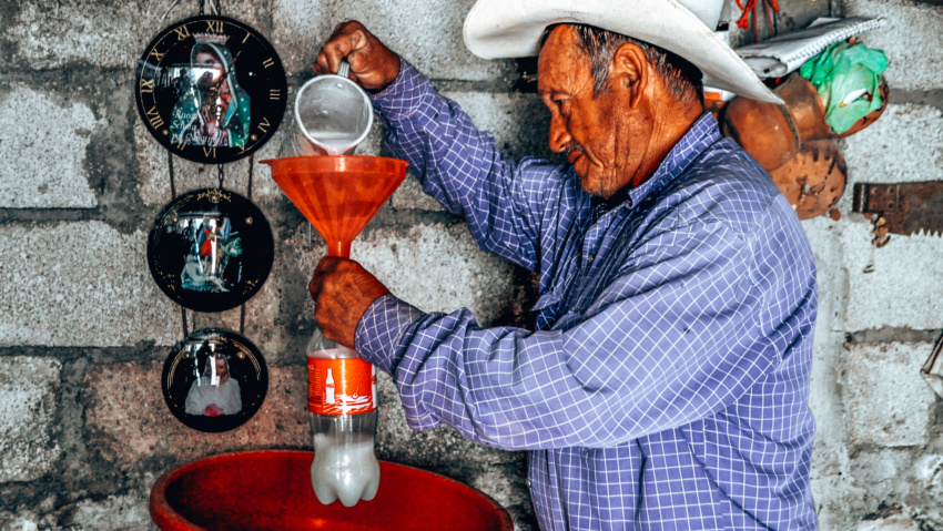 pulque moonshine