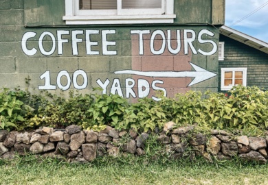 best kona coffee tours