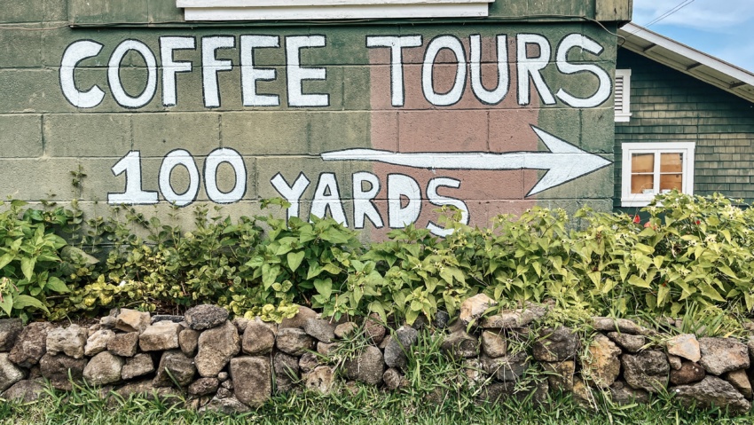 best kona coffee tours