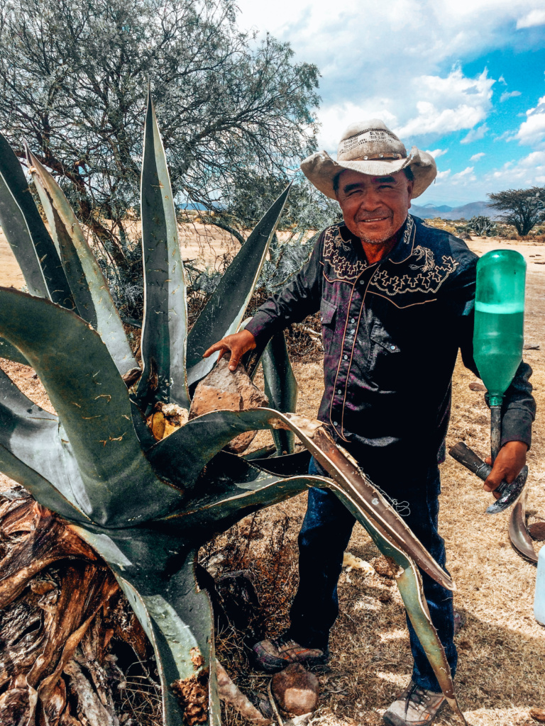 mezcal vs tequila