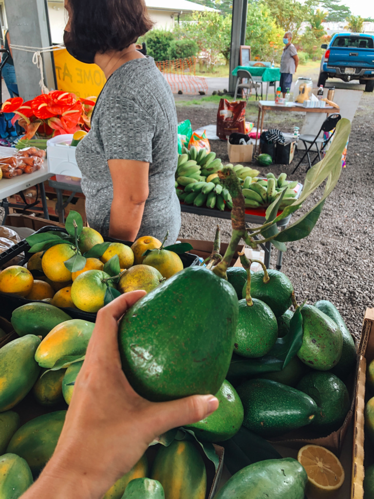 avocado in hawaii